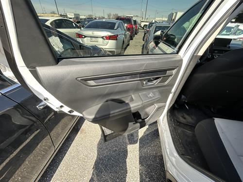 1-RotateNoneFlipNone2fc691cf-0d44-412e-8353-e2b7be729b24