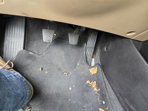 1-RotateNoneFlipNone30ae109c-e106-4eab-8198-57e658b222e7