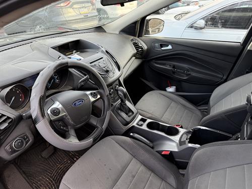 1-RotateNoneFlipNone3155451a-08c6-47db-9aab-26b4efa48359