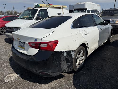 1-RotateNoneFlipNone31fc7481-5fc8-4fc8-93f6-adcdb15d829e