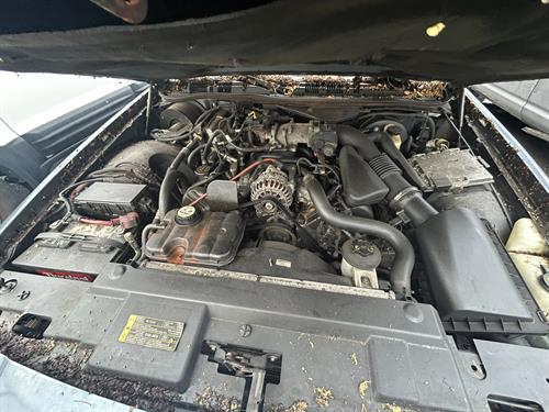 1-RotateNoneFlipNone324addf4-d0fd-4879-97fe-d1b2cc329449