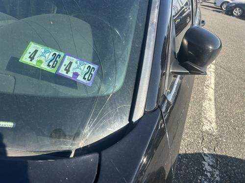 1-RotateNoneFlipNone33d9c31f-88e6-4db3-9191-018827a050c1