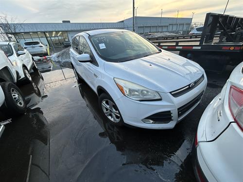 1-RotateNoneFlipNone349e632a-4932-4934-8531-fa2c2ab5683a