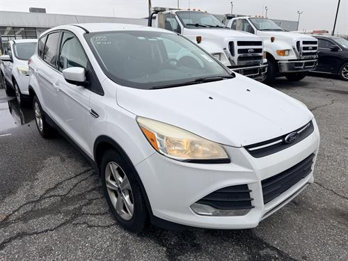 1-RotateNoneFlipNone35802bdc-b317-4ec2-8bc8-7745c50ac689