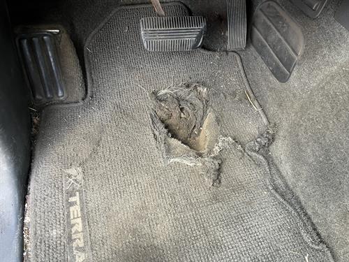 1-RotateNoneFlipNone360a103c-b31c-4aac-b63e-16bcf51e359b