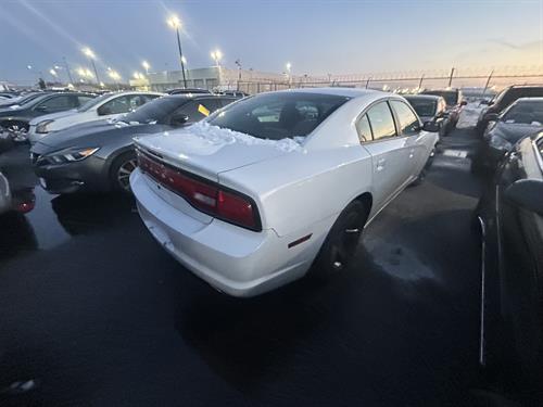 1-RotateNoneFlipNone37d1e181-4ae2-4dfd-91a4-a09476b6ecd8