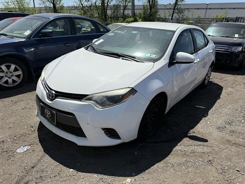 1-RotateNoneFlipNone391a1795-b014-4479-a73f-259c27d808f3