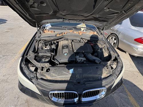 1-RotateNoneFlipNone39251840-a477-43da-9a6e-6469b8f018b1