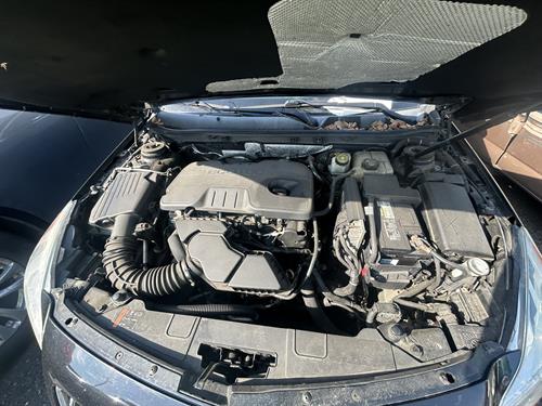 1-RotateNoneFlipNone3a0306f6-a9d3-4efc-ade0-adf4c8d3742c