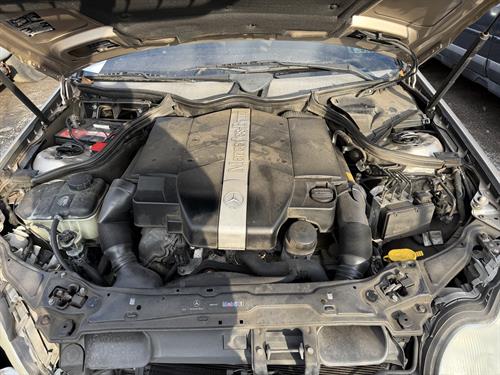 1-RotateNoneFlipNone3b043fc5-a09f-4ce3-a17d-65940a98a8ad