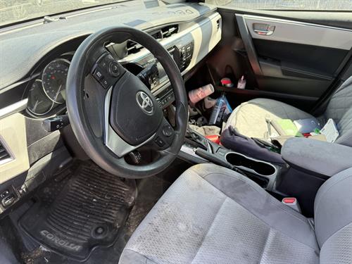 1-RotateNoneFlipNone3c57f352-c263-40c4-9da7-c3293d7ee10d