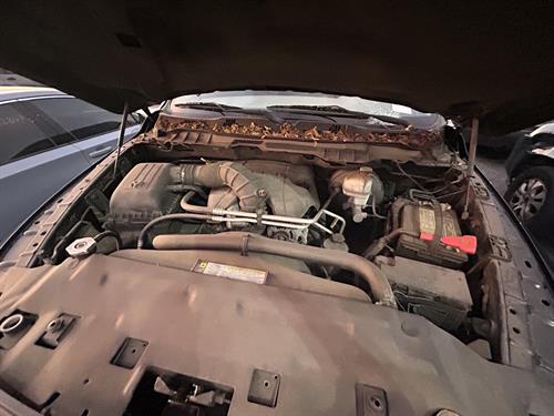 1-RotateNoneFlipNone409473a9-69ff-439d-8322-ae8d9d30ea6b