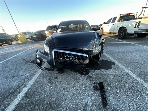 1-RotateNoneFlipNone40b153bf-4961-4cc5-b83e-f8989a765548