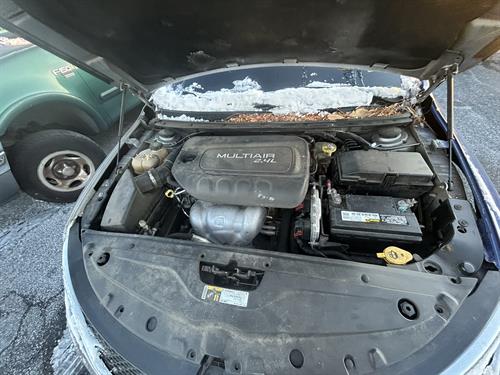 1-RotateNoneFlipNone40edc318-4187-4418-ade2-01ee93fba109