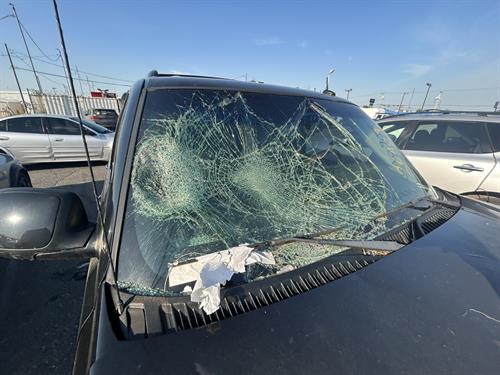 1-RotateNoneFlipNone436d5830-48fe-4b06-9544-26950cbbeb59