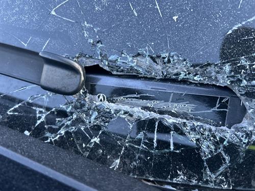 1-RotateNoneFlipNone444149d4-9302-4588-84e6-5cc16f72bf18