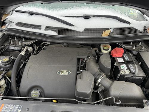 1-RotateNoneFlipNone44b78395-3729-4a76-b407-7b2e63d8ed58