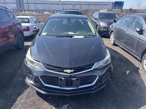 1-RotateNoneFlipNone4561c5c4-9d1c-4b8a-a71e-5612459044be