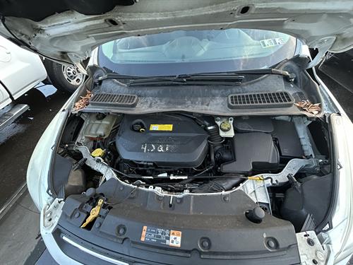 1-RotateNoneFlipNone49e6ec37-f906-4bd9-a270-d0b984e36581