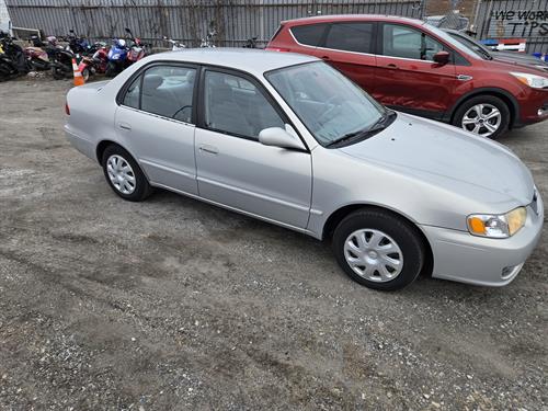 1-RotateNoneFlipNone49f1ecbf-b6e4-4431-a34c-fc17afc710af