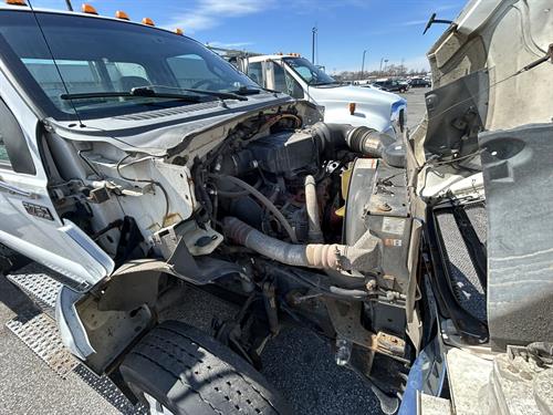 1-RotateNoneFlipNone49fa77f9-f9a7-4d86-adc6-f10884054b28