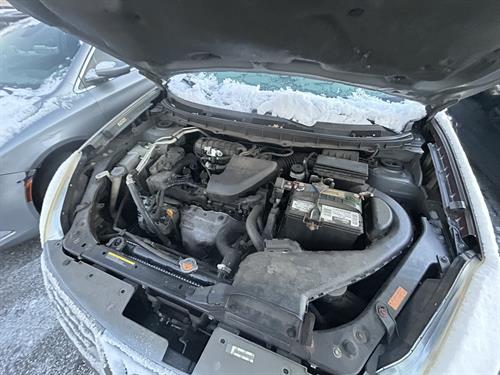 1-RotateNoneFlipNone4a51fcf0-592b-4572-8f37-fc53623e2df7