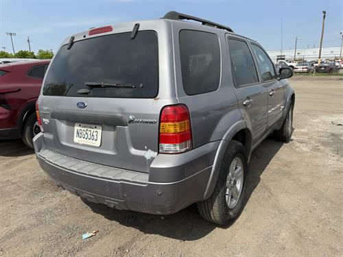 1-RotateNoneFlipNone4a95fcbd-afc2-46e2-b121-b6e87923f08b