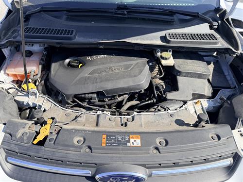 1-RotateNoneFlipNone4ce7eb8c-c8d7-49f0-9337-1e55b8aa61b4