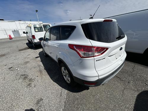 1-RotateNoneFlipNone4e71de28-fb7b-4e24-a90a-0049d538fea2