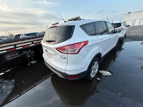 1-RotateNoneFlipNone4ff53ee1-e199-495f-9122-c8fb673284d8