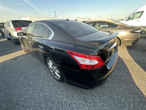 1-RotateNoneFlipNone51a9173a-c0c2-4fa6-a043-f12c7ed57f97