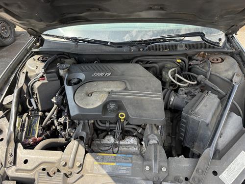 1-RotateNoneFlipNone51c305df-fe6b-4066-a1b1-a44c116fc881