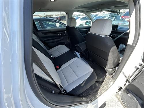 1-RotateNoneFlipNone52263fad-12fd-4b1e-a2c4-a08af6c8d465