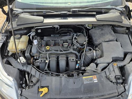 1-RotateNoneFlipNone53025d01-9836-4f19-ae24-8a5b3a4b37a8