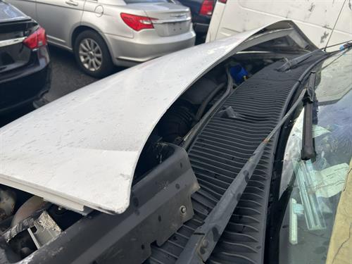 1-RotateNoneFlipNone533ddf39-3d86-40a4-a1dd-b6ff7d38d5a0