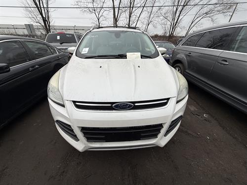 1-RotateNoneFlipNone53f84501-8d4a-48be-b2b3-8faa4ec53793