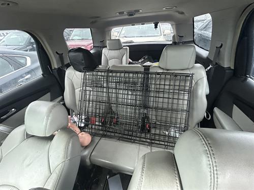 1-RotateNoneFlipNone554950c5-1fc2-45cb-8a97-fd214bd785f7