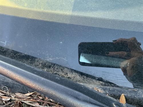 1-RotateNoneFlipNone5574f0e8-25c9-4241-a04a-bb7e1aaa91cf