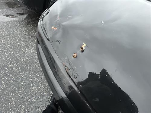 6-Rotate270FlipXY58a58679-4827-4022-81a2-b3b32c613925