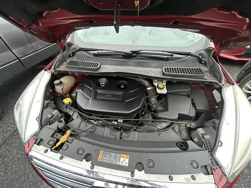 1-RotateNoneFlipNone5957f471-d1ea-44f4-bacb-7d59f876faa9