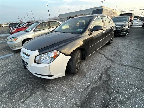 1-RotateNoneFlipNone5991fff5-e903-44ec-a30a-851066ecc404