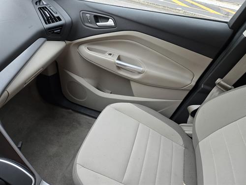 1-RotateNoneFlipNone59b64aee-650b-4686-ac6e-13548de9f47d