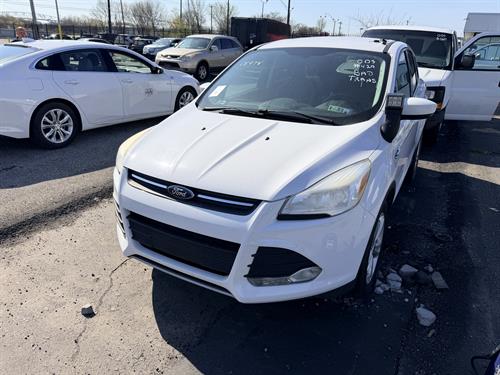 1-RotateNoneFlipNone5ae5b294-e608-47b4-99b2-74bac7135b0a