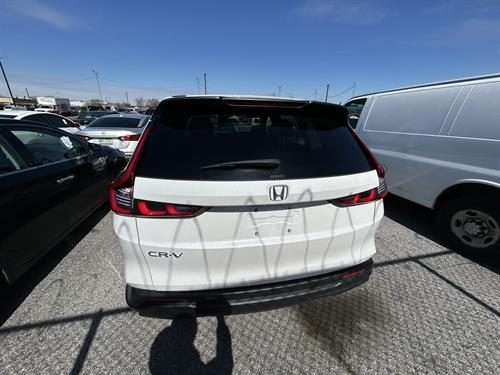 1-RotateNoneFlipNone5c80b04d-887c-40c4-b535-89151a83e109