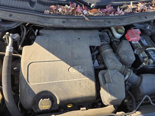 1-RotateNoneFlipNone5d68208e-85a9-4a69-8883-f7ace65a5079