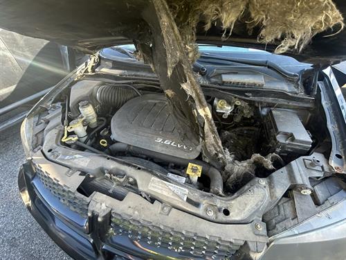 1-RotateNoneFlipNone5d691975-fe6e-4a5e-9ced-792aea09bcbd