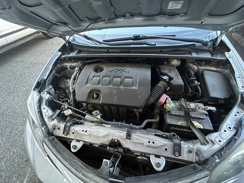 1-RotateNoneFlipNone6016a5c4-429e-4e90-a108-940cbe13896e