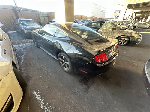 1-RotateNoneFlipNone616e2842-a074-42aa-bf32-09175fe8a683