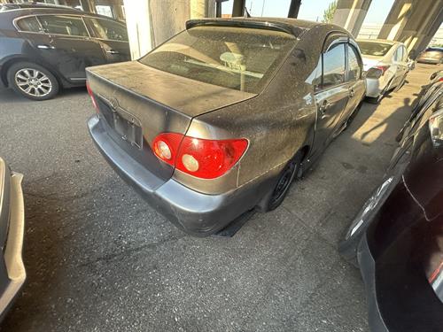 1-RotateNoneFlipNone626ba750-753f-4e87-8cd6-fb2ecdb4403e