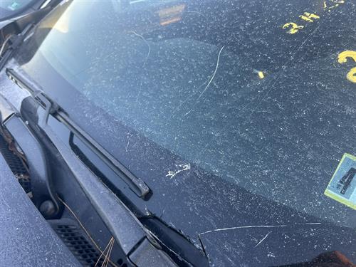 1-RotateNoneFlipNone640fe284-0e2a-4ba0-8511-0827af28cbe2